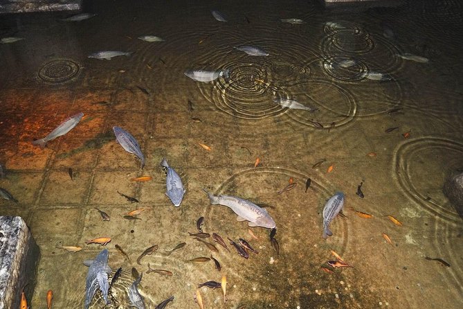 Basilica Cistern Skip the Line Ticket - Price and value: what you’re really paying for