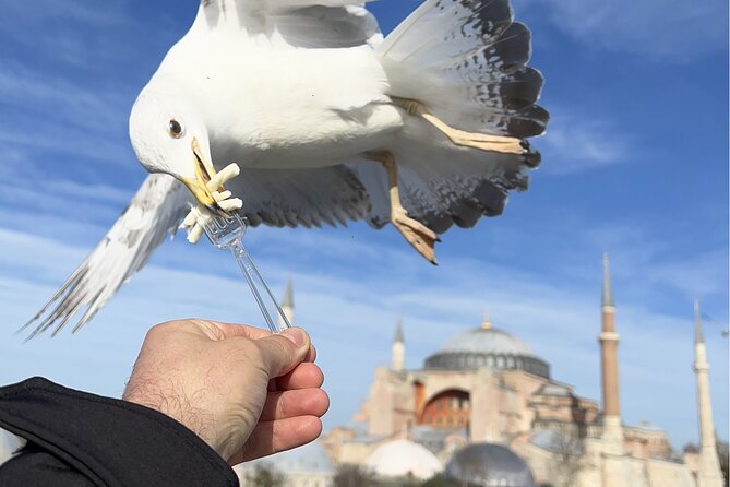 Best of Istanbul City Full-Day Tour with Transfers - How the day stays manageable: pickup, timing, and group size