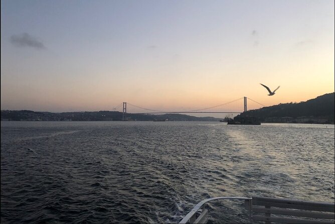 Bosphorus Explorer: 3-Hour Cruise with Asian Side Visit - Passing Under Bosphorus Bridge and Fatih Sultan Mehmet Bridge