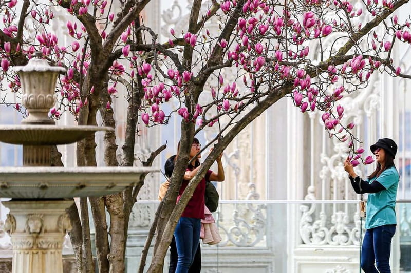 Dolmabahce Palace & Harem Fast-Track Entry with Audio Guide - Palace gardens: the calm start that sets the tone