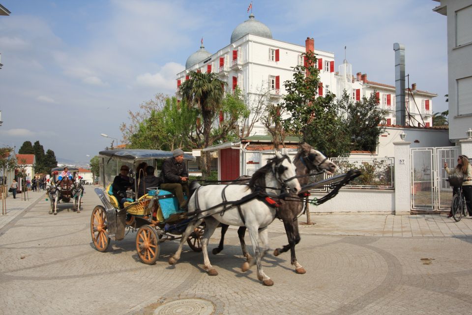 From Istanbul: Full-Day Princes Island Tour with Lunch - Getting to the Deluxe boat: timing and port logistics that matter