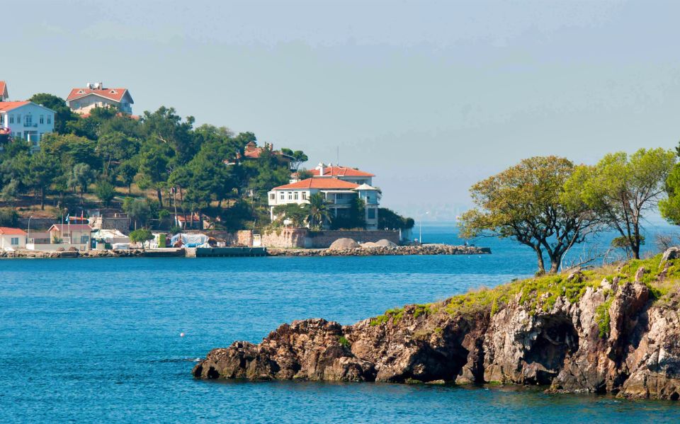 From Istanbul: Full-Day Princes Island Tour with Lunch - Optional electric buggies, bikes, and the shop stop reality