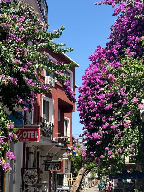 From Istanbul: Princess Islands Guided Tour - Büyükada’s 3 Hours: Car-Free Vibes, Bicycles, and a Steep Viewpoint Tradeoff