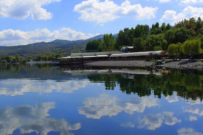 From Istanbul: Sapanca and Masukiye Day Trip with Lunch - Darıca Zoo or Lion Park and Aquarium: the day’s first “wow” stop