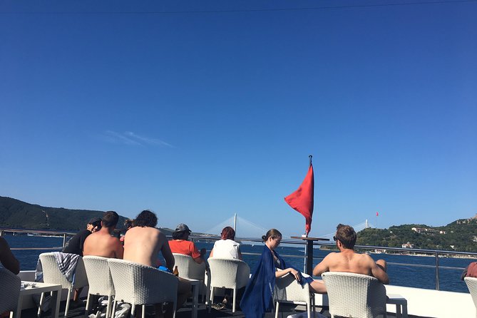 Guided Bosphorus & Black Sea Cruise – 4 Stops from Istanbul - The Bosphorus to Black Sea swing: Anadolu Kavagi and bridge-area swimming