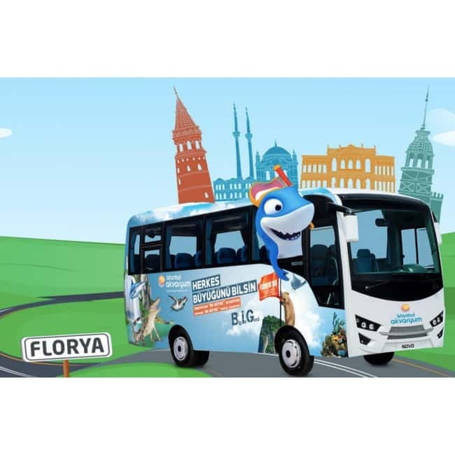 Istanbul: Aquarium Ticket with Shuttle Bus from Sultanahmet - Sultanahmet Pickup and Skip-the-Line Entry: The Logistics That Matter