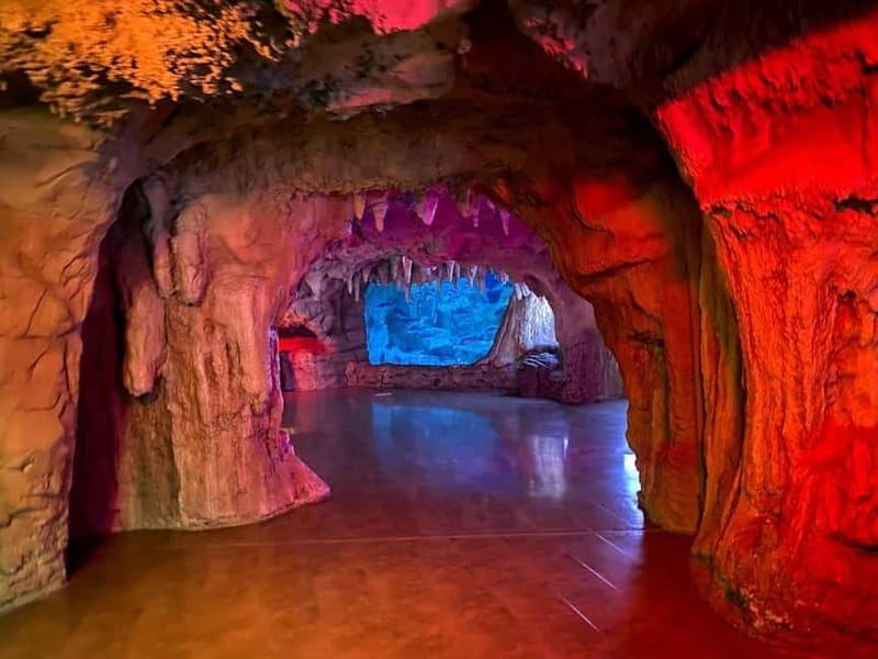 Istanbul: Aquarium Ticket with Shuttle Bus from Sultanahmet - What You’ll See: Sharks, Penguins, and the Black Sea to the Pacific