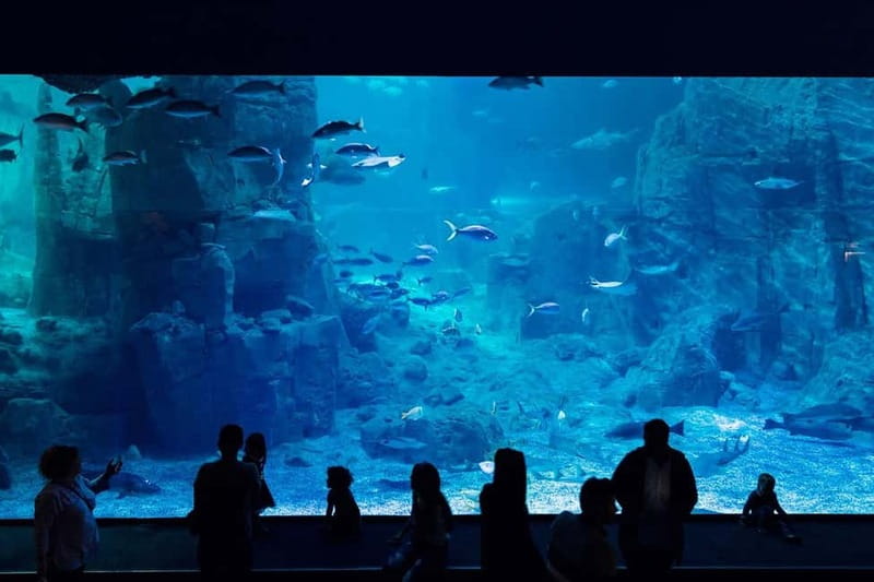 Istanbul: Aquarium Ticket with Shuttle Bus from Sultanahmet - The Aquarium Plan: 1.2 Kilometers of Themed Worlds