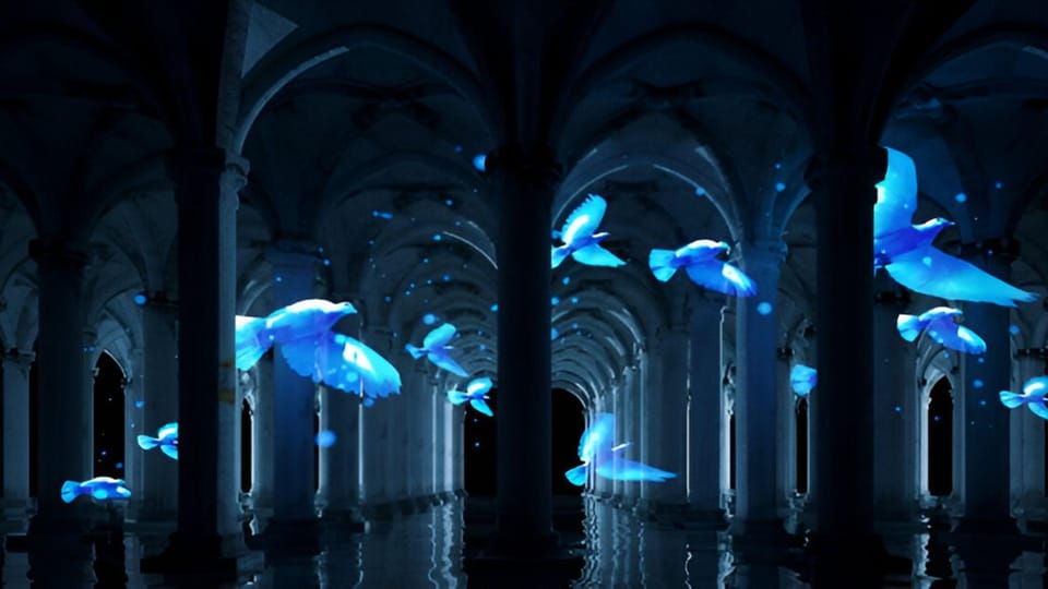 Istanbul: Basilica Cistern Skip-the-Ticket-Line Guided Tour - Key things to know before you go
