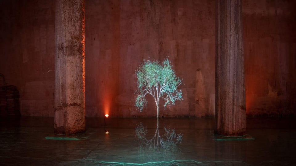 Istanbul: Basilica Cistern Skip-the-Ticket-Line Guided Tour - Who this tour is for (and who should skip it)