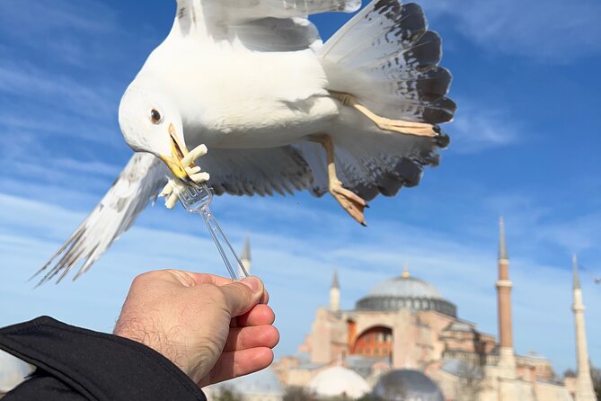 ISTANBUL BEST: Iconic Landmarks Full Day PRIVATE Guided City Tour - Key things to know before you go