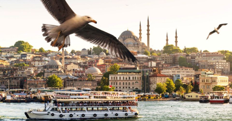 Istanbul: Bosphorus And Golden Horn Morning or Sunset Cruise - Bosphorus Strait: the part that makes the city feel two-continent real