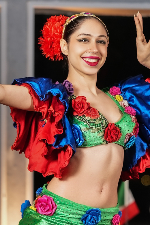 Istanbul: Bosphorus Cruise with Dinner Show - Who should book this cruise (and who might want to skip it)