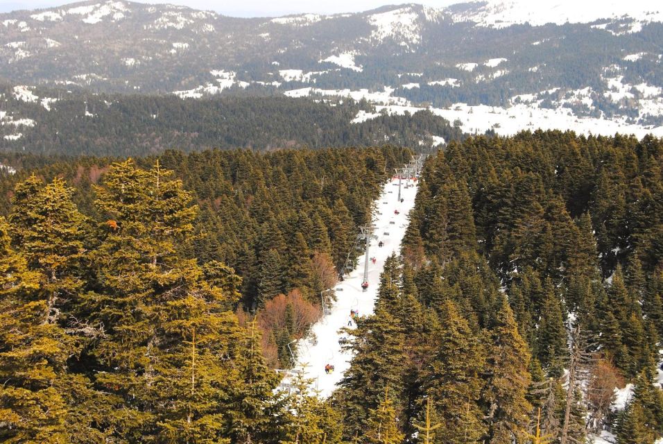 Istanbul: Bursa & Uludag Mountain Day Trip w/ Opt. Cable Car - Who should book this Bursa & Uludağ day trip?