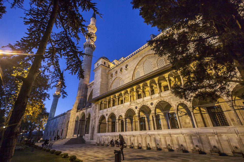 Istanbul: Full-Day Highlights Tour with Guide and Lunch - Topkapi Palace: skip lines, and plan for extra tickets (cash)
