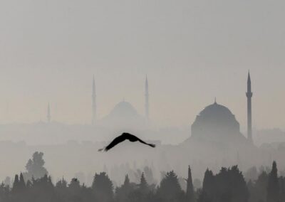 Istanbul: Hagia Sophia, Blue Mosque, Cistern & Bazaar Tour - Hagia Sophia: what to focus on during 75 minutes