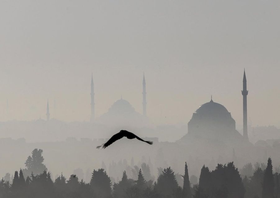 Istanbul: Hagia Sophia, Blue Mosque, Cistern & Bazaar Tour - Hagia Sophia: what to focus on during 75 minutes