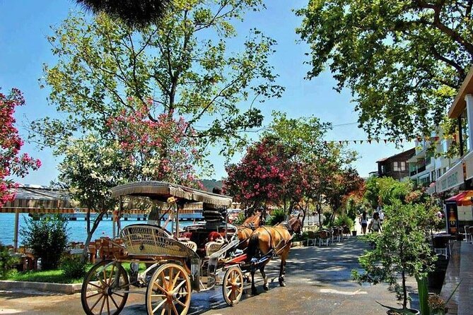 Istanbul Princes Island Tour with Lunch & Hotel Transfer - Quick hits before you go