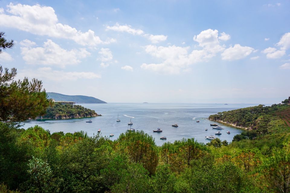 Istanbul: Princes' Islands Cruise w/Music, Lunch & Transfer - From hotel pickup to the Marmara Sea: the easy part