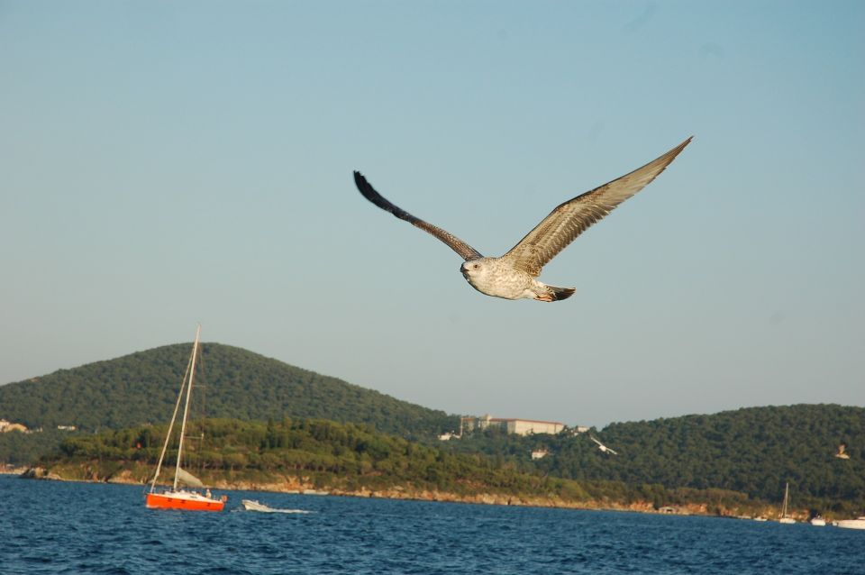 Istanbul: Princes' Islands Cruise w/Music, Lunch & Transfer - Timing and group feel: long enough to enjoy, not long enough to linger