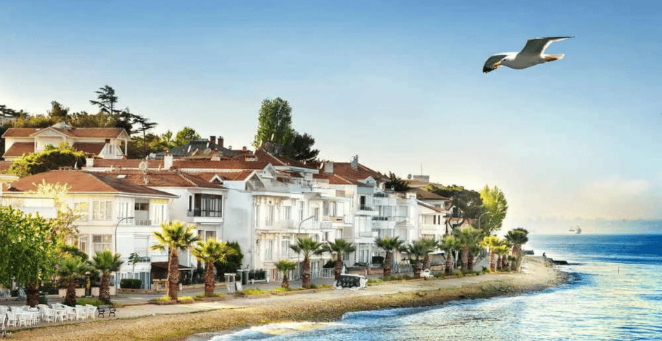 Istanbul: Princes Islands Tour with Heybeliada and Buyukada - Price and Logistics: why this $18 day trip often feels like a steal