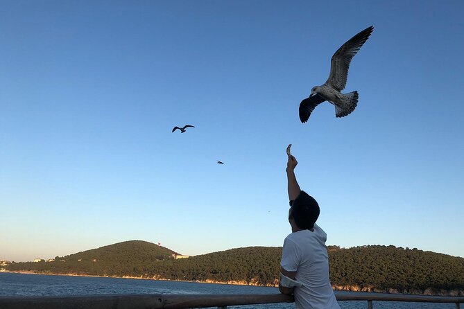 Istanbul: Princes Islands Tour with Heybeliada and Buyukada - Swimming and island rentals: how to plan for your weather and your budget