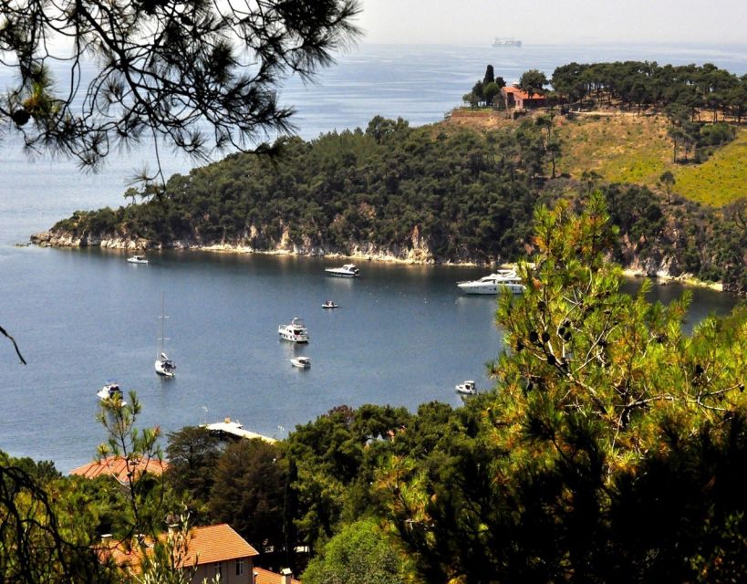 Istanbul: Princes' Islands Tour with Lunch and Transfers - Value for $29: What You Get and Where Your Money Goes