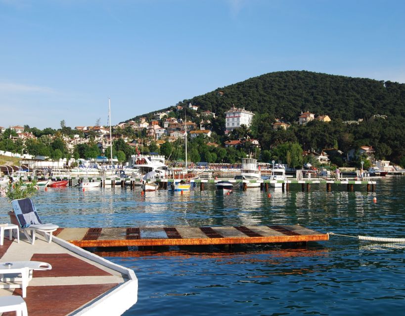 Istanbul: Princes' Islands Tour with Lunch and Transfers - Getting Around: Walking First, Then Consider the Electric Car
