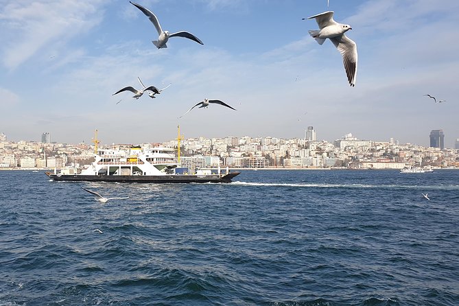 Istanbul Private Guided Tour for Layover Flight. Transfer incl. - Hagia Sophia Mosque: The Architecture-Music Moment (Plus the Extra Ticket)