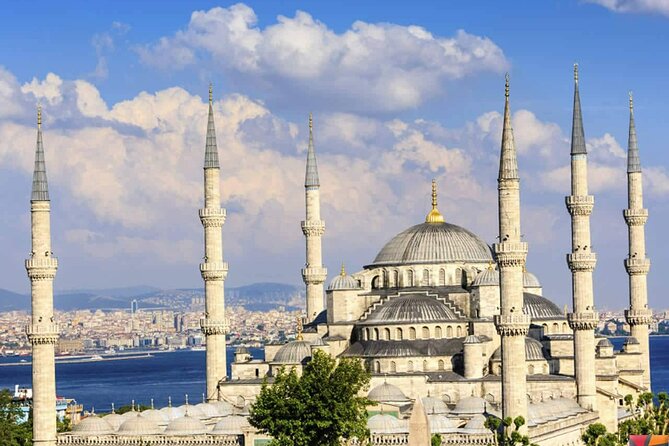 Istanbul private tour with skip line tickets included - Blue Mosque: seeing the 6-minaret icon up close