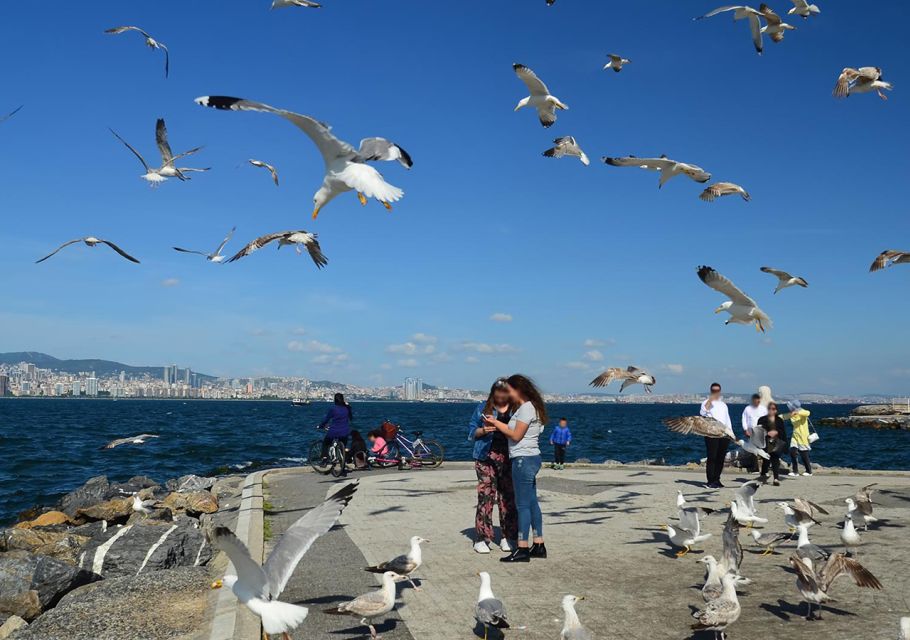 Istanbul: Round-Trip Ferry Tickets to the Princes' Islands - Who This Princes’ Islands Ferry Day Is Best For