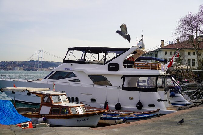 Private Yacht Cruise on Bosphorus - The Bosphorus route: the European side highlights you’ll actually recognize